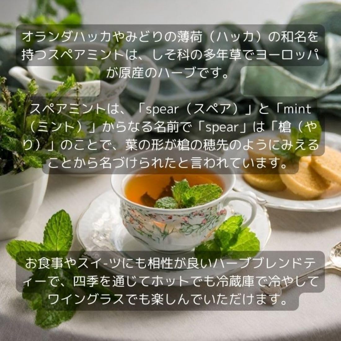 Amazon | 和音 国産ハーブティー (九州産スペアミント×八女緑茶) 80g